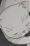 Marshmallow