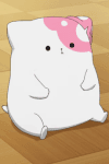 Kinokoinu