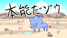 Passionate Elephant