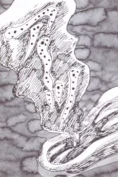 Ten Nights' Dreams