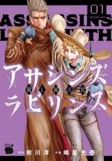 Assassin's Labyrinth