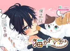 Neko Kawaigari