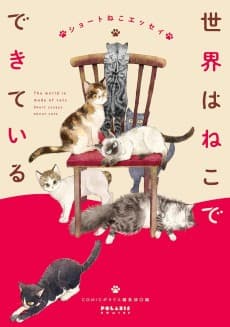 Sekai wa Neko de Dekite Iru Short Neko Essay