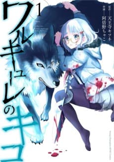 Valkyrie no Kiko