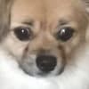 Biti