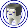 Sijia Luo